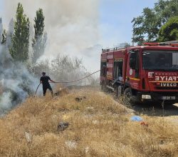 Kasabamızda Boş Arazide Yine Yangın Çıktı